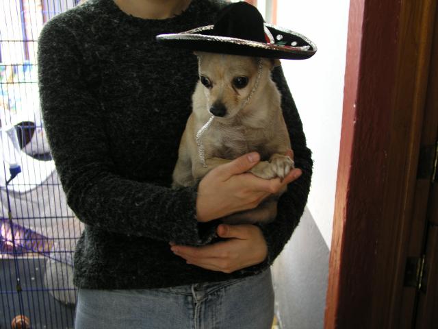 SpunkySombrero.jpg SpunkySombrero.jpg