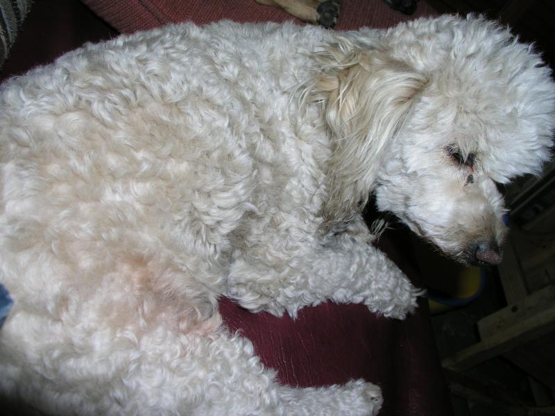 cuqui5.jpg cuqui5.jpg