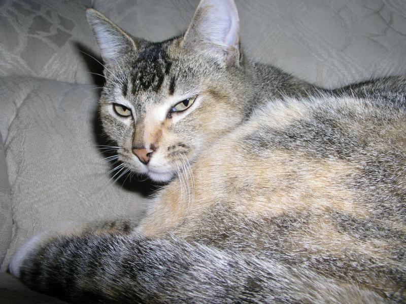 juana 2.jpg juana 2.jpg