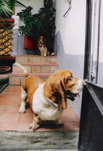 200009-08.jpg 200009-08.jpg