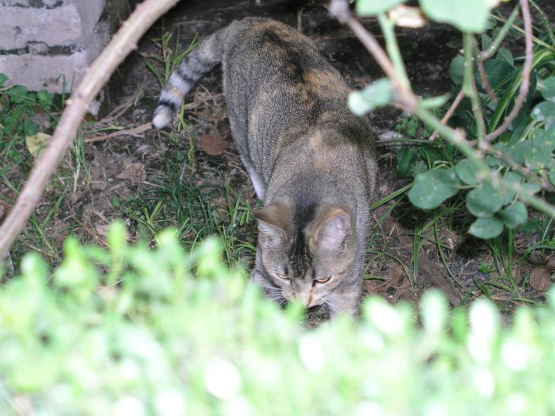 pc030372.jpg pc030372.jpg