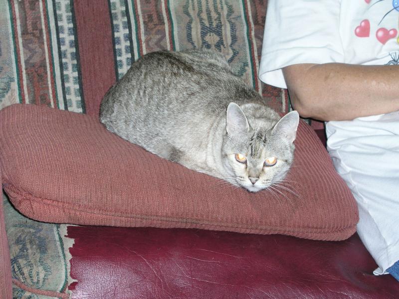 p1011595.jpg p1011595.jpg