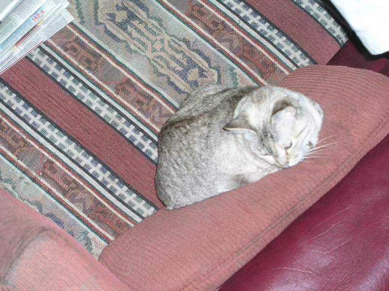 p1011609.jpg p1011609.jpg