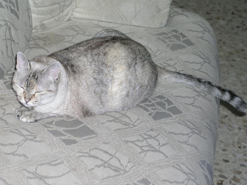 p1011644.jpg p1011644.jpg