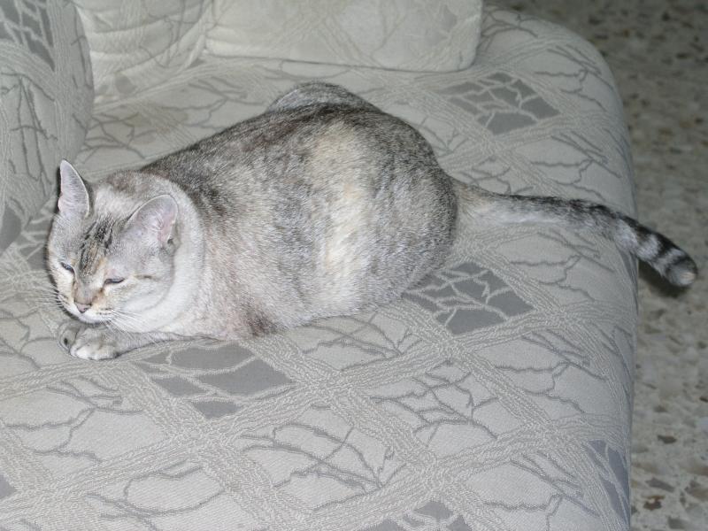 p1011645.jpg p1011645.jpg