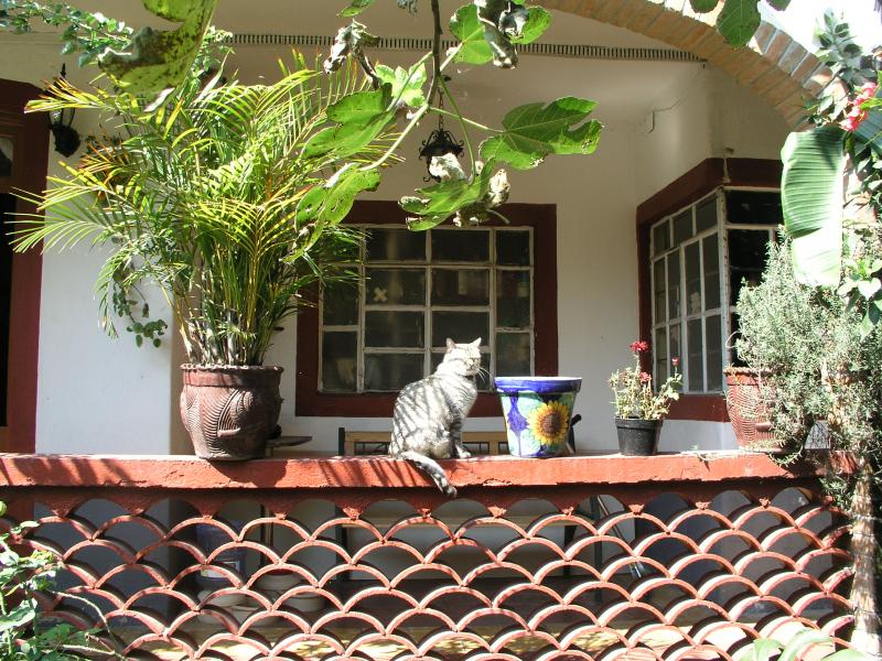 pb200349.jpg pb200349.jpg