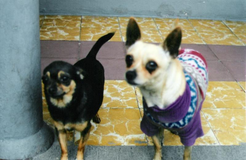 200012-01.jpg 200012-01.jpg