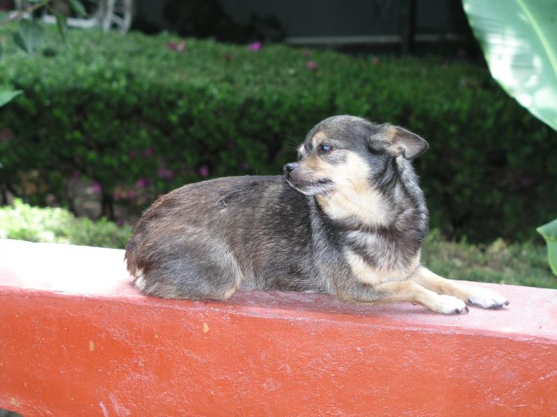 p1011611.jpg p1011611.jpg