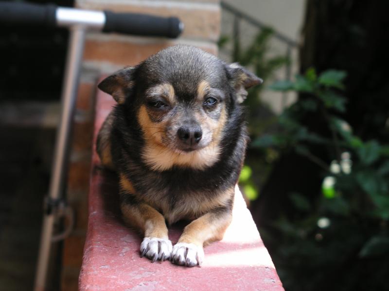 p1011614.jpg p1011614.jpg