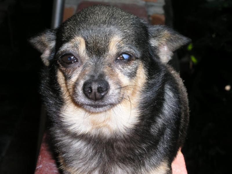 p1011615.jpg p1011615.jpg