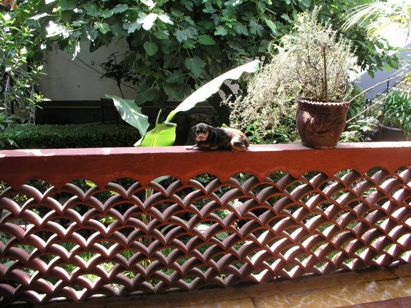 p1011626.jpg p1011626.jpg