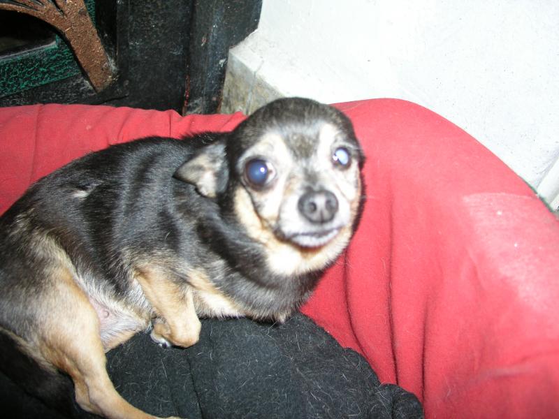 p9280043.jpg p9280043.jpg