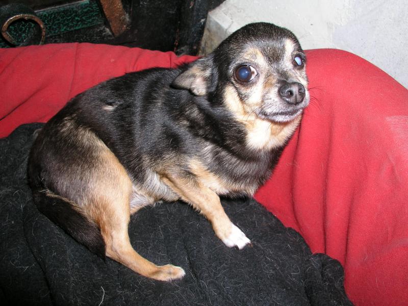 p9280044.jpg p9280044.jpg