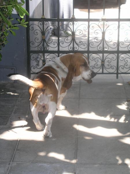 pa240164.jpg pa240164.jpg