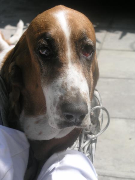 pa240165.jpg pa240165.jpg