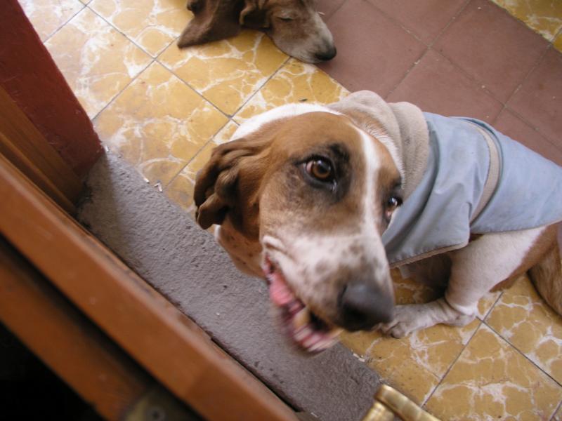 p1010860.jpg p1010860.jpg