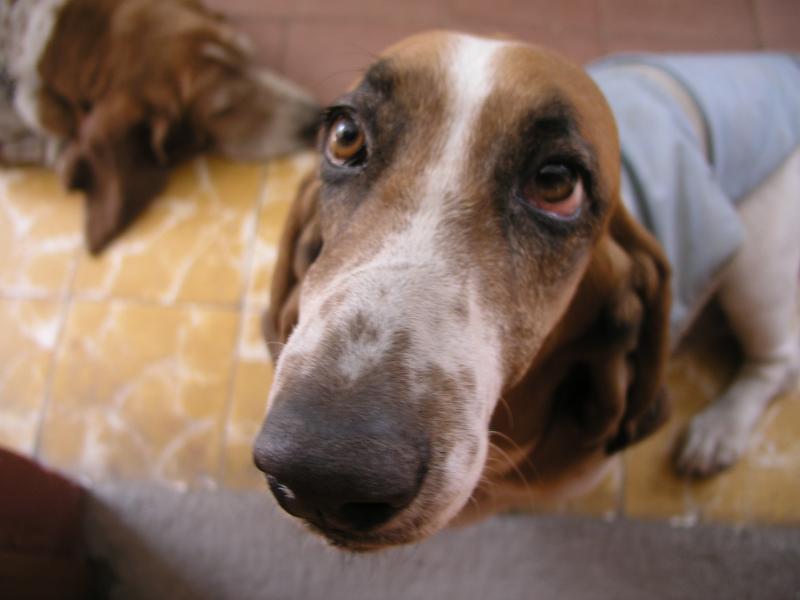 p1010862.jpg p1010862.jpg