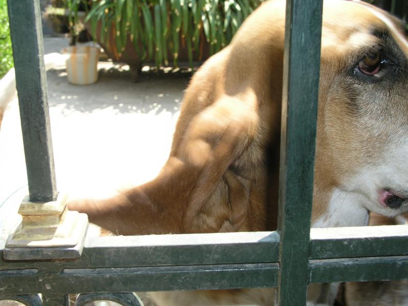 p1010865.jpg p1010865.jpg