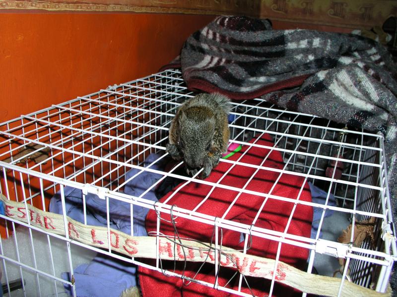 p6060898.jpg p6060898.jpg