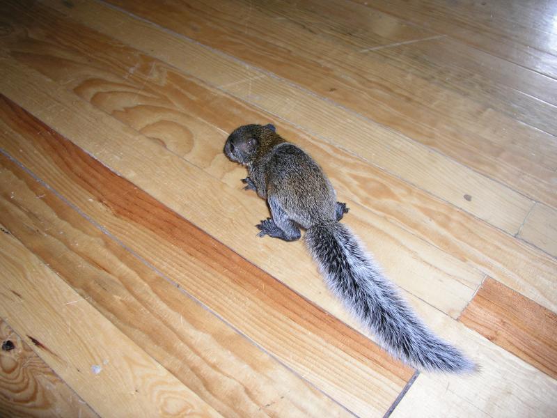 p6060899.jpg p6060899.jpg