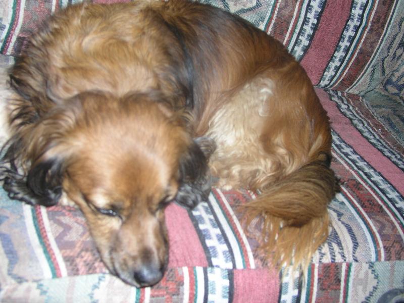 pa240179.jpg pa240179.jpg