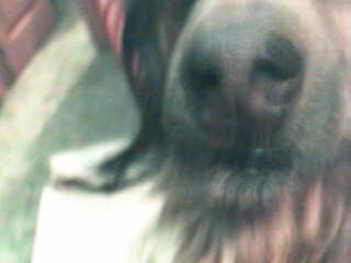 Untitled.jpg Untitled.jpg