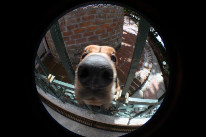 IMG_3722.jpg IMG_3722.jpg