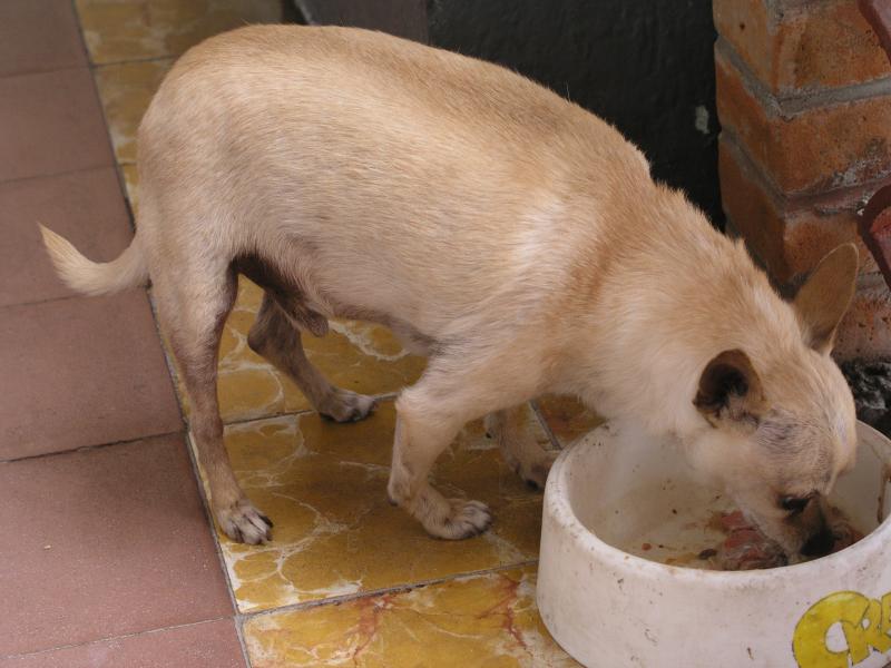 p1011601.jpg p1011601.jpg