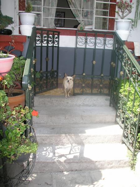 pa240169.jpg pa240169.jpg