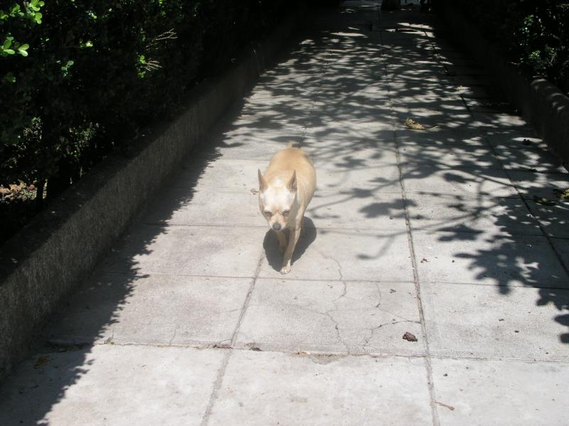 pa240258.jpg pa240258.jpg