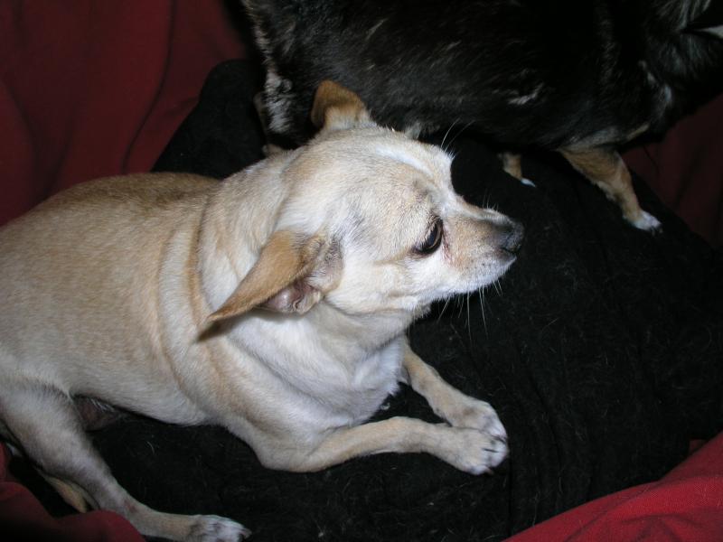 p9280041.jpg p9280041.jpg