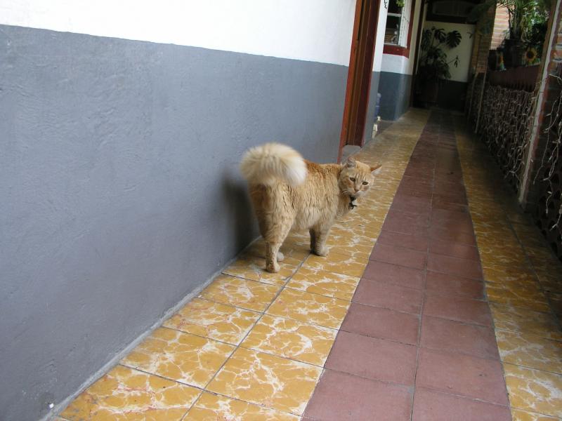 pc300313.jpg pc300313.jpg