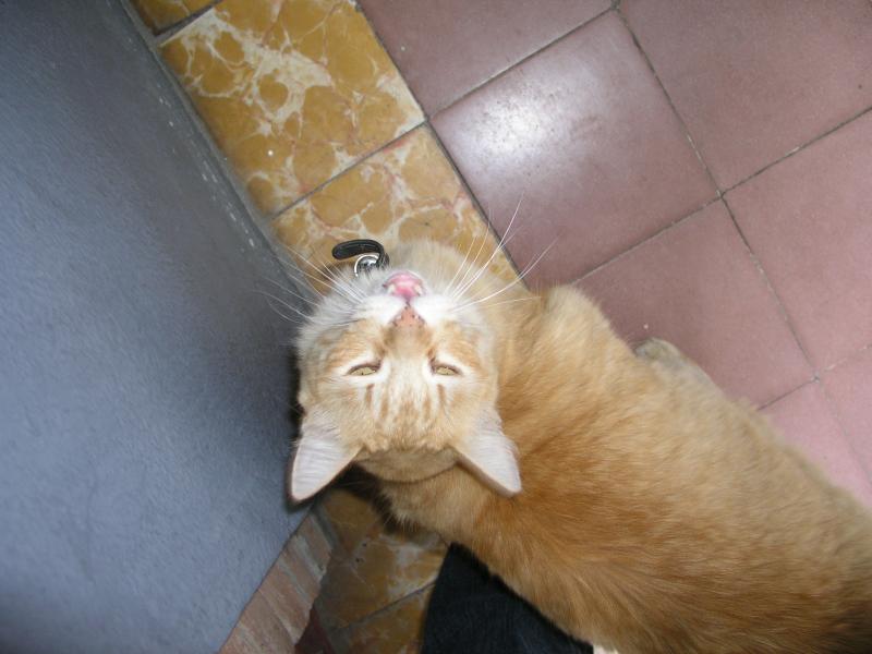 pc300314.jpg pc300314.jpg