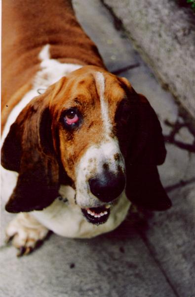 200009-10.jpg 200009-10.jpg