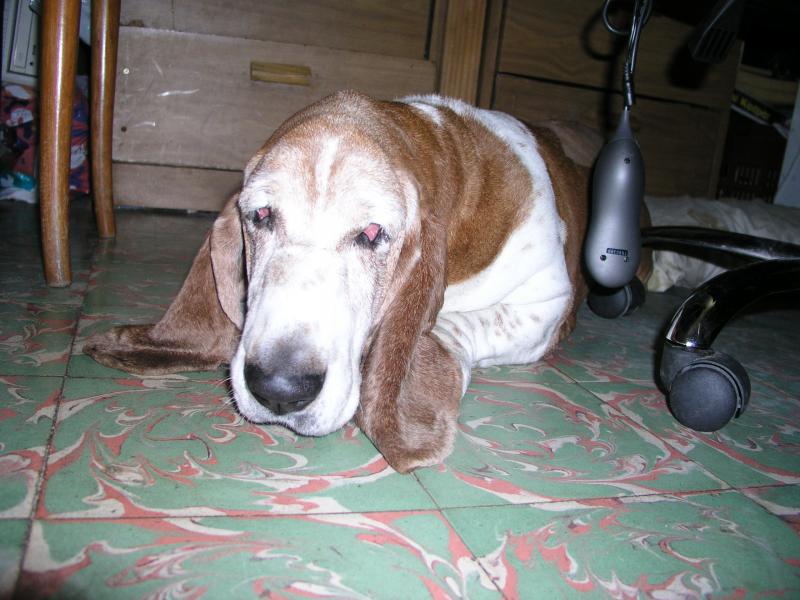 p9091147.jpg p9091147.jpg