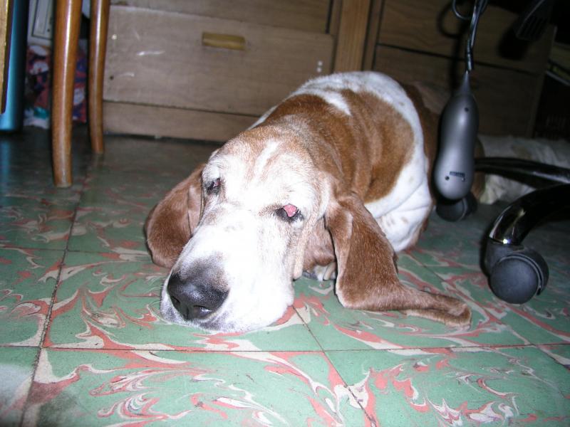 p9091148.jpg p9091148.jpg