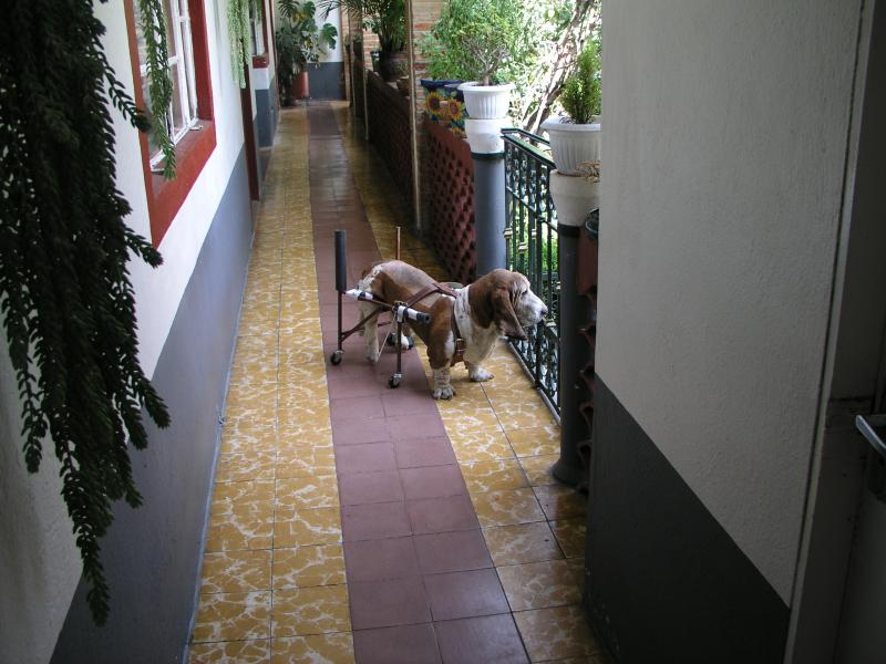 p9240018.jpg p9240018.jpg