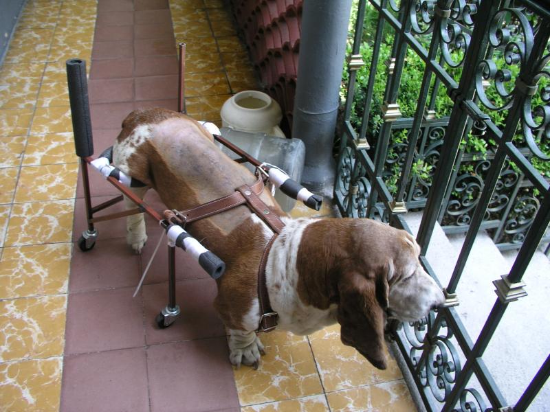 p9240019.jpg p9240019.jpg