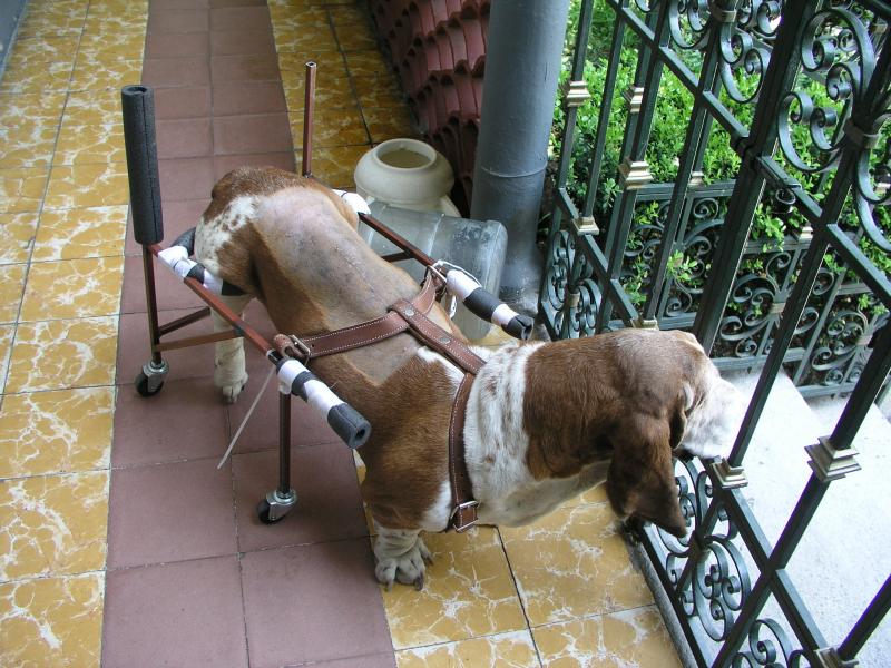 p9240020.jpg p9240020.jpg