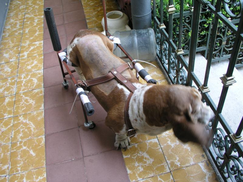 p9240022.jpg p9240022.jpg