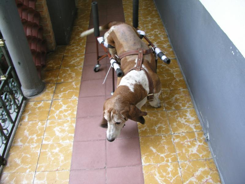 p9240024.jpg p9240024.jpg