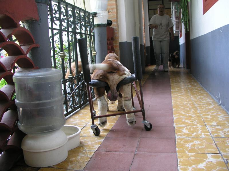 p9240028.jpg p9240028.jpg