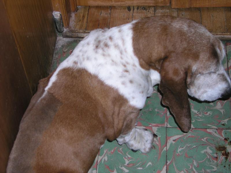 pb070346.jpg pb070346.jpg