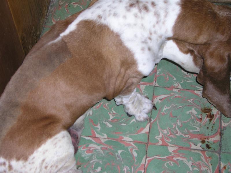 pb070347.jpg pb070347.jpg