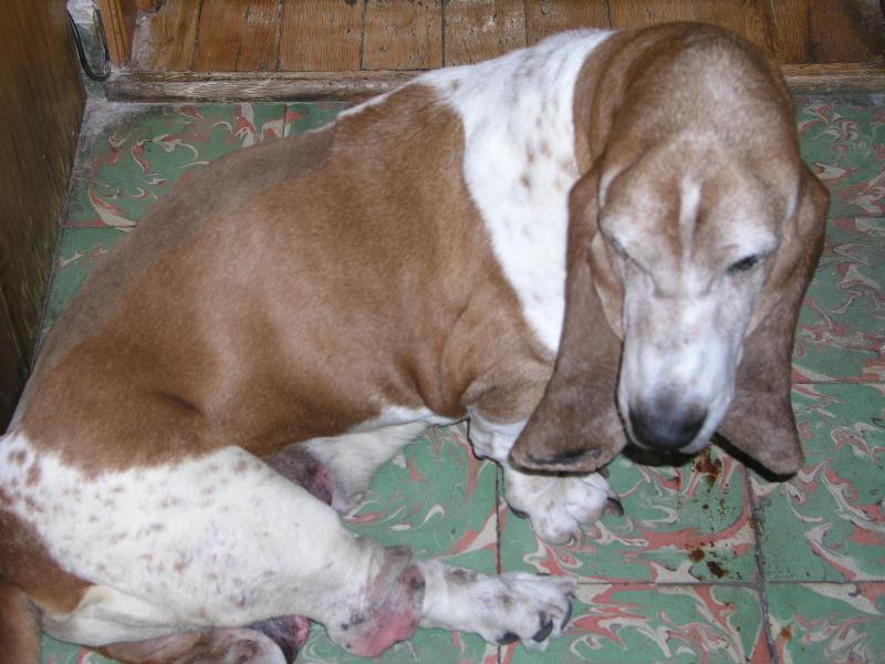 pb070348.jpg pb070348.jpg