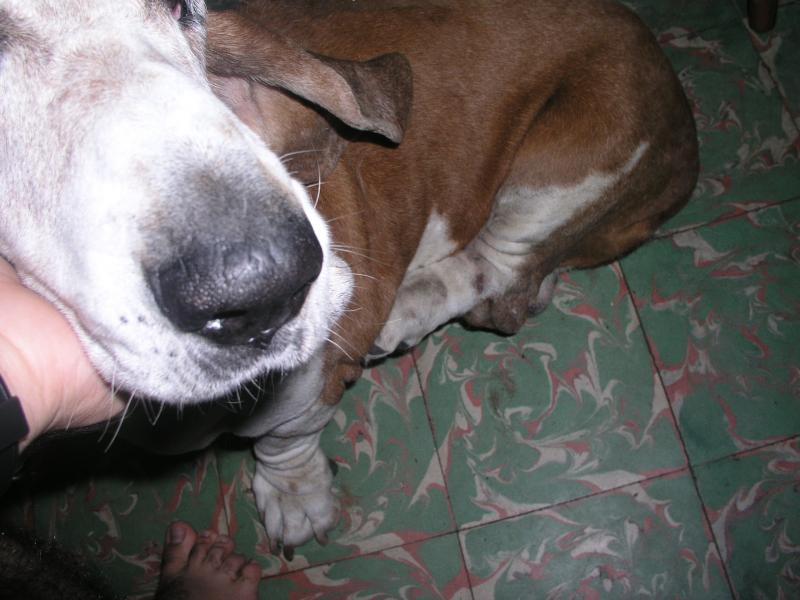 pb090351.jpg pb090351.jpg