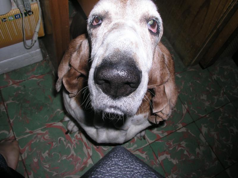 pb090355.jpg pb090355.jpg