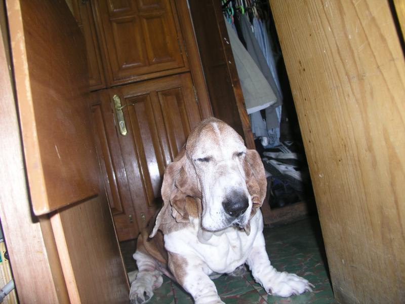 pb090357.jpg pb090357.jpg