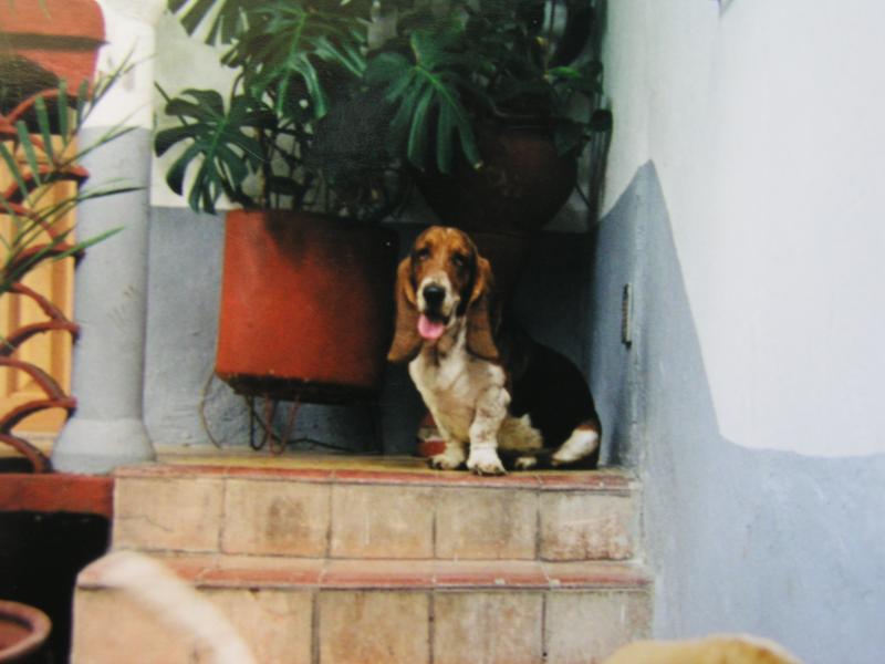 p8250335.jpg p8250335.jpg