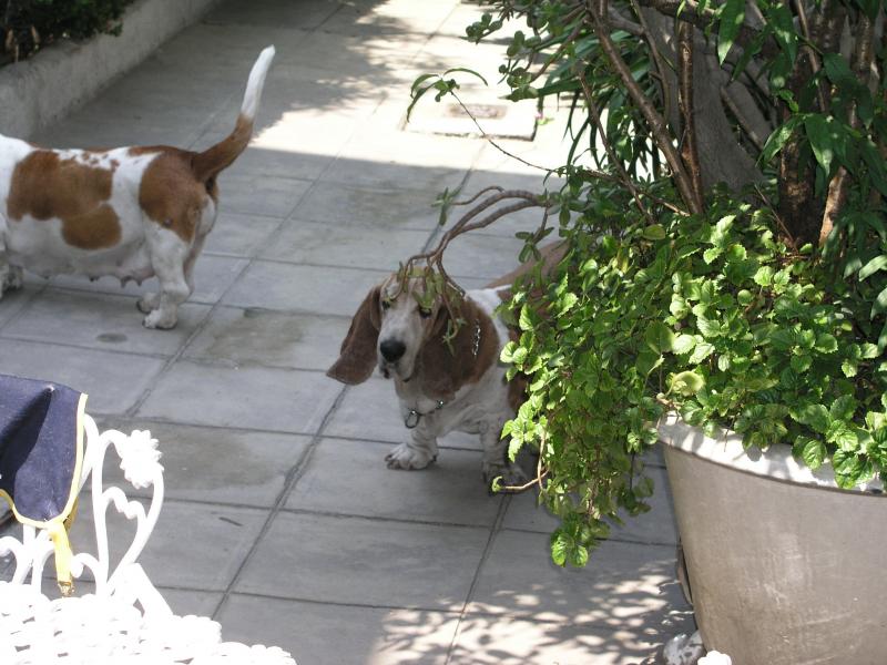 p4300322.jpg p4300322.jpg